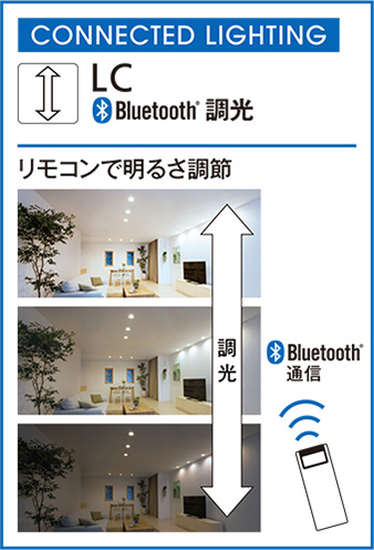 ODELIC オーデリック スポットライト XS512128BC | 商品情報 | LED照明