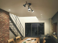 AA43183Lä˥󥰾þηΡΡҸ-LIGHTING DEPOT-