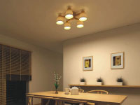 AA42640Lä˥󥰾þηΡΡҸ-LIGHTING DEPOT-