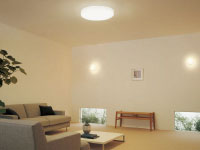 OL251614äĤӥ󥰾þηΡΡҸ-LIGHTING DEPOT-