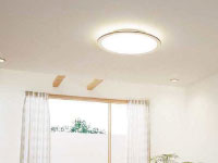 OL251610äĤӥ󥰾þηΡΡҸ-LIGHTING DEPOT-