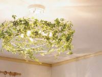 OC257023LCäĤӥ󥰾þηΡΡҸ-LIGHTING DEPOT-
