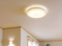 OL251671äĤӥ󥰾þηΡΡҸ-LIGHTING DEPOT-