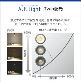 ߾ KOIZUMI ڥ LED AP43218L 