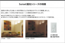߾ KOIZUMI ⵤ̩饤 LEDŵ忧 AD43295L ̿1