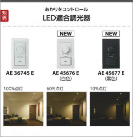߾ KOIZUMI ⵤ̩饤 LEDŵ忧 AD43295L ̿3