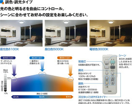  | DAIKO ŵ Ĵ DCL-40289