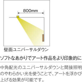 KOIZUMI ߾ ⵤ̩饤 AD48651L ̿4