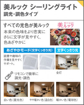 Panasonic 󥰥饤 LGC51621 ̿6