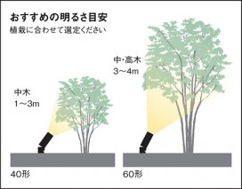 Panasonic �������ƥꥢ���ݥåȥ饤�� LGW40803LE1 �̿�6