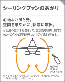 Panasonic 󥰥ե XS72313F ̿1