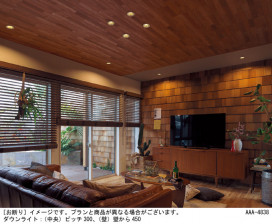 Panasonic 饤 LGD1010NLB1 ̿1