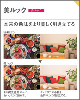 Panasonic ���ݥåȥ饤�� LGS1311VLE1 �̿�2