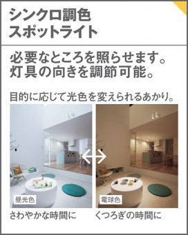 Panasonic ���ݥåȥ饤�� LGS3503LU1 �̿�2