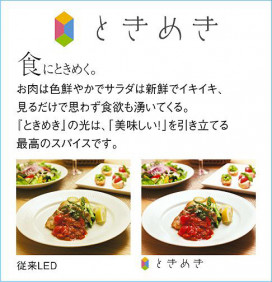  | DAIKO ŵ ֥饱å DBK-40427W