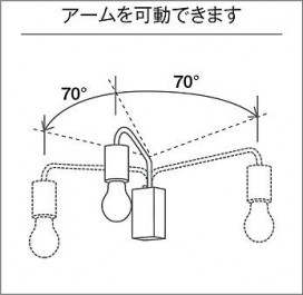  | DAIKO ŵ ֥饱å DBK-41065Y