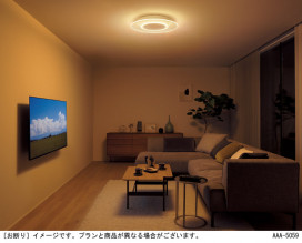 Panasonic ������󥰥饤�� LGC48110 �̿�4