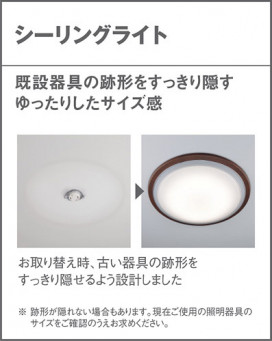 Panasonic ������󥰥饤�� LGC62139 �̿�3