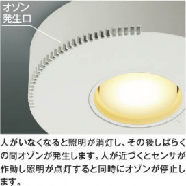 ħ̿ Koizumi ߾ LEDⵤ̩饤 AD54247