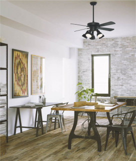 �ܹ���̿� Koizumi �������߾��� ����ƥꥢ�ե����Ĺ�ѥ��� AE40391E