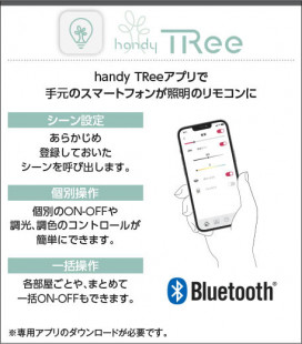  Koizumi ߾ 饤ȥȥ AE54347E