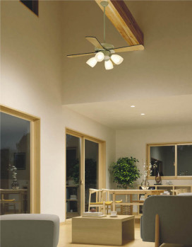 �ܹ���̿� Koizumi �������߾��� ����ƥꥢ�ե����Ĺ�ѥ��� AEE590057