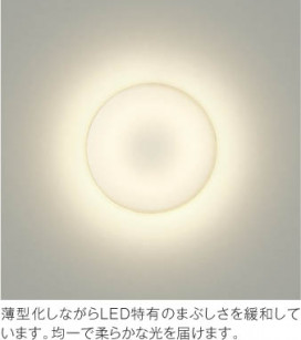 �ܹ���̿� Koizumi �������߾��� LED����������� AH42166L