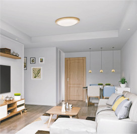 �ܹ���̿� Koizumi �������߾��� LED������� AH55751