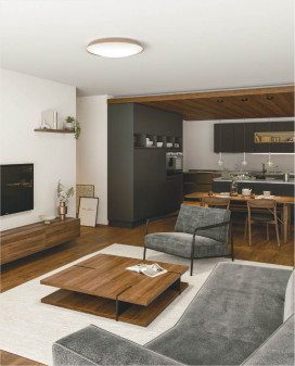 �ܹ���̿� Koizumi �������߾��� LED������� AH55821