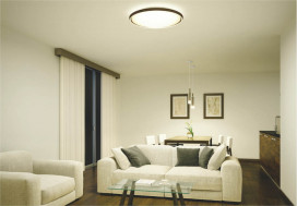 �ܹ���̿� Koizumi �������߾��� LED�ڥ����� AP46949L