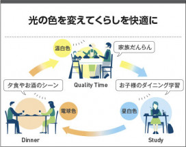 �������� Koizumi �������߾��� LED�ڥ����� AP51088