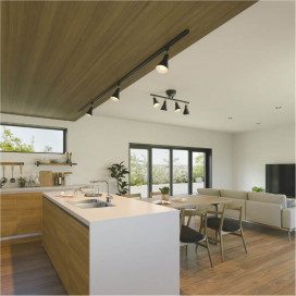 ܹ̿ Koizumi ߾ LEDݥåȥ饤 AS56096