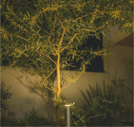 �ܹ���̿� Koizumi �������߾��� LED�����ǥ�饤�� AU51398