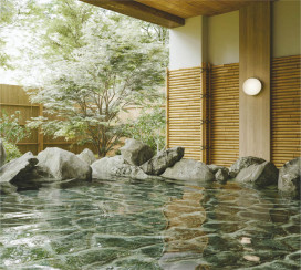 �ܹ���̿� Koizumi �������߾��� LED�ɱ��ɼ����֥饱�å� AW55083