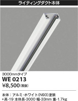 ���β��� Koizumi �������߾��� �饤�ƥ��󥰥����� WE0213