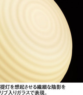 ODELIC �����ǥ�å� �����֥饱�å� OB255362NR �̿�2