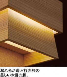 ODELIC �����ǥ�å� �����֥饱�å� OB255365NR �̿�2