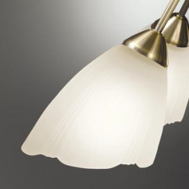 ODELIC �����ǥ�å� ��ȴ������ OC079265NR �̿�2