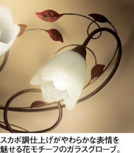 ODELIC �����ǥ�å� �����ǥꥢ OC257025NR �̿�2