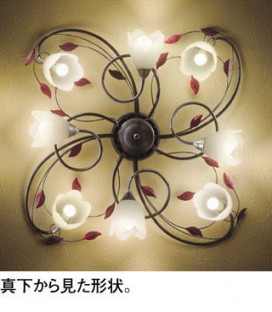 ODELIC �����ǥ�å� �����ǥꥢ OC257026WR �̿�1