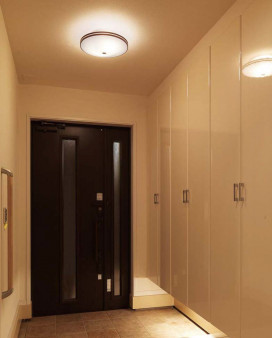 ODELIC �����ǥ�å� ����������󥰥饤�� OL011250NR �̿�1