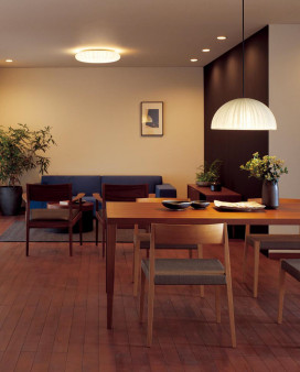 ODELIC �����ǥ�å� ����������󥰥饤�� OL251278GR �̿�3