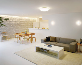 ODELIC �����ǥ�å� ������󥰥饤�� OL251816GR �̿�4