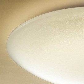 ODELIC �����ǥ�å� ����������󥰥饤�� OL251820GR �̿�2