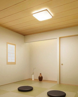 ODELIC �����ǥ�å� ����������󥰥饤�� OL291016GR �̿�1