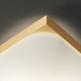 ODELIC �����ǥ�å� ����������󥰥饤�� OL291016GR �̿�2