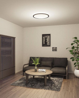 ODELIC �����ǥ�å� ������󥰥饤�� OL291319GR �̿�1