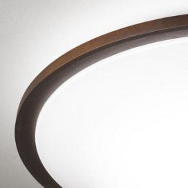 ODELIC �����ǥ�å� ������󥰥饤�� OL291320GR �̿�2