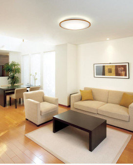 ODELIC �����ǥ�å� ������󥰥饤�� OL291323GR �̿�2