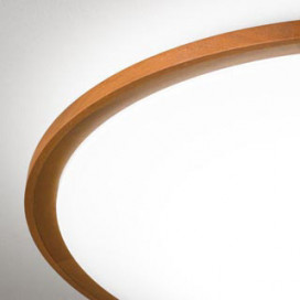 ODELIC �����ǥ�å� ������󥰥饤�� OL291323GR �̿�3